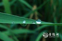 2023年4月26日穿什么颜色的衣服好