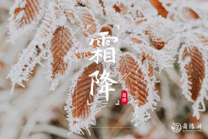 霜降到立冬这15天算什么节节气