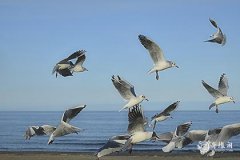 2023年8月6日吉时是什么时候，2023年8月6日吉时查询