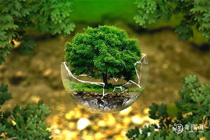 女孩带萱寓意好的名字