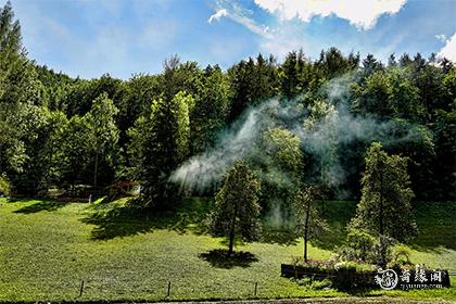 会让男人抢着要的生肖女