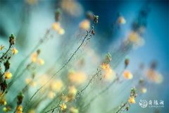 2023年7月27日和28日哪天办升学宴好