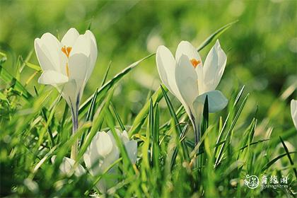 92年4月30日是什么命