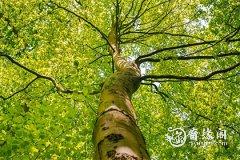 服装属于五行什么 行业属火的有哪些