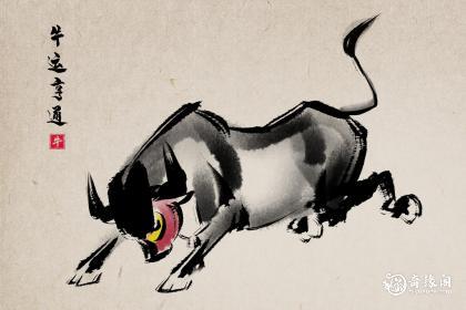 属牛能穿带龙的衣服吗