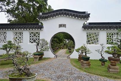 院子种什么树好风水 院子种树有什么忌讳