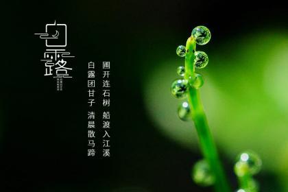 天津小雪吃什么　小雪节气的饮食习俗