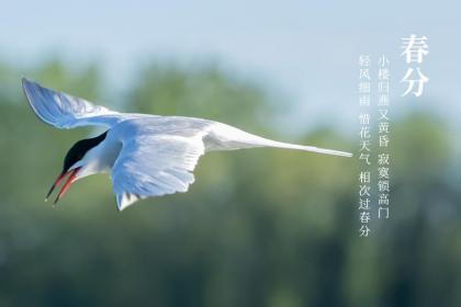2020年春分是具体时辰是多少？春分有什么风俗？
