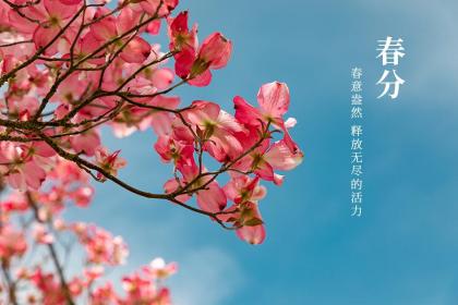 为什么春分秋分昼夜等长