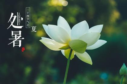 2020年处暑还要几天,2020年七月初四处暑办喜酒好吗？