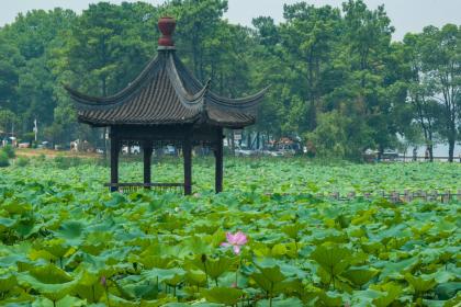 节气解析：每年的立夏节气日期时间都一个点吗？