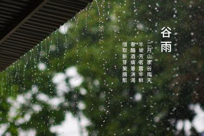 为什么谷雨前后种瓜点豆