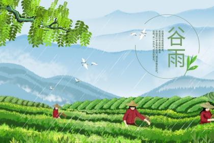 为什么谷雨前后种瓜点豆 谷雨的物候特征是什么