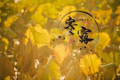 2020年大暑是哪天几月几号？大暑节气怀孕好吗？