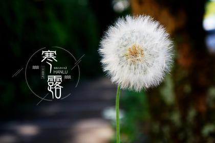 2020寒露这天喜神在什么方位？寒露这天搬家好不好？