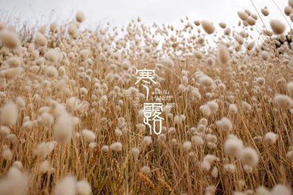寒露不能做什么？寒露出生的名人明星有哪些？