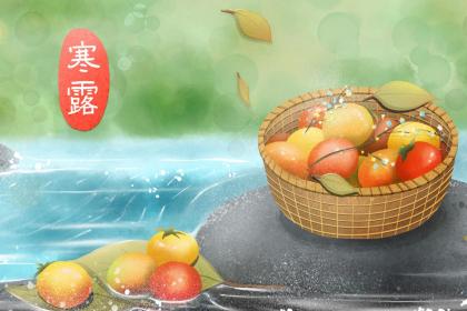 宁波寒露吃什么 宁波地区的饮食习俗