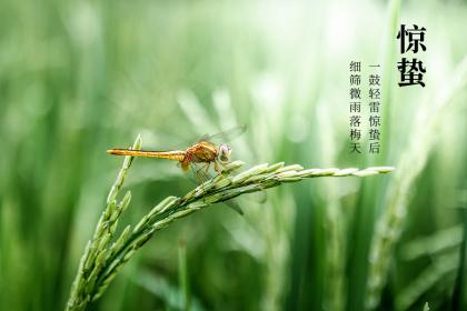 2020鼠年小满适合出行吗？2020年小满节气还有几天？