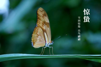 处暑节气有什么由来,2020年处暑出行出远门好吗？