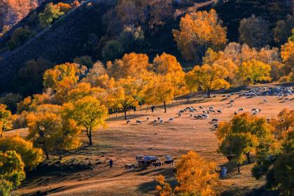 南京立秋吃什么 南京立秋的传统习俗