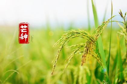 2020年芒种6月5日这天的喜神方位,关于喜神方位歌解析