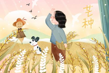 立冬吃什么传统美食 立冬节气美食推荐