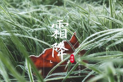 2019年霜降