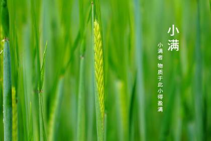 2020年小满5月20日吉时查询,2020小满那天可以领证吗