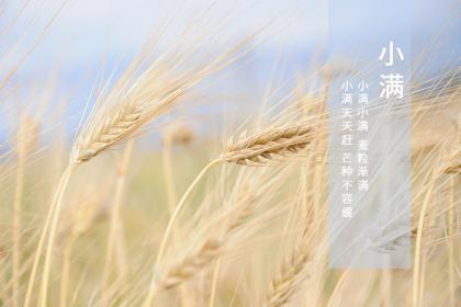 如何解释关于闰四月兆年荒说法,2020小满在闰四月吗？