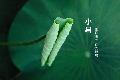 2020年白露订婚好吗？白露节气之后天气还热吗？