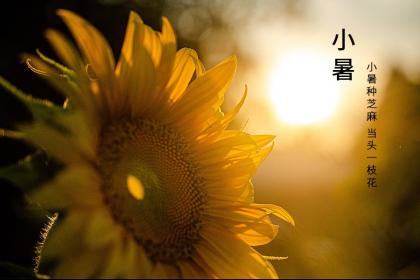 大暑有什么说法与讲究？小暑大暑无君子什么意思？