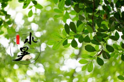 2020小暑是几月几日星期几？今年小暑是什么日子？