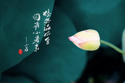 2020年小暑是几点几分,2020年小暑这天时辰吉凶查询！