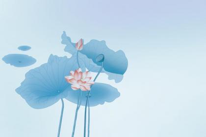 每年夏至是固定日子吗？2020年夏至这天能结婚吗？