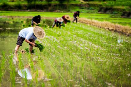 2020年劳动节放假安排时间表,2020年劳动节放几天？