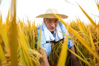 2020年五一劳动节派出所放假吗？可以办身份证吗？