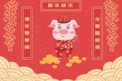 属猪95年多大