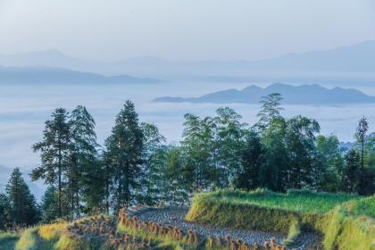 五行缺土穿什么颜色衣服最好 怎么补土