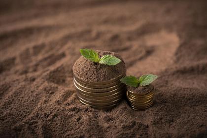 老一辈土一点的名字有哪些 取名推荐