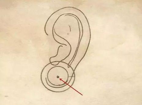 女人右耳朵长痣面相图 女人耳朵长痣的说法 奇缘阁算命网