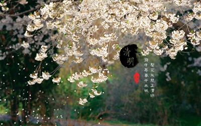 清明年4月4日亥时 21 23点 出生的人是什么命 奇缘阁算命网