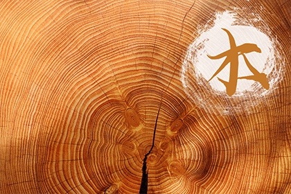 五行缺木就是木命人吗五行缺木怎么办 奇缘阁算命网