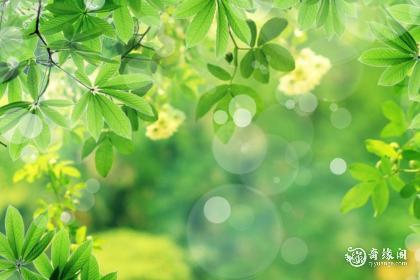 91年3月14日是什么命