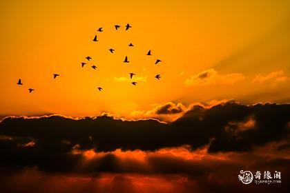 壬辰日柱三命通会