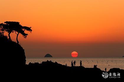 属鸡2024年生男孩还是女孩