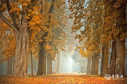 为什么早上不能借钱给别人