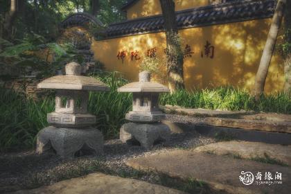 属龙能不能进寺庙