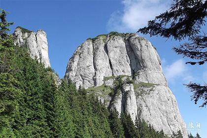 教育行业五行属什么