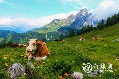牛年九月出生的是什么命 2021农历九月出生男生什么命