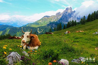 牛年九月出生的是什么命